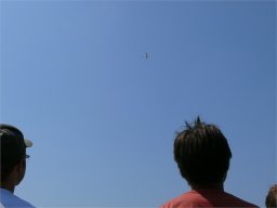 2013-06-08 Jedermannfliegen